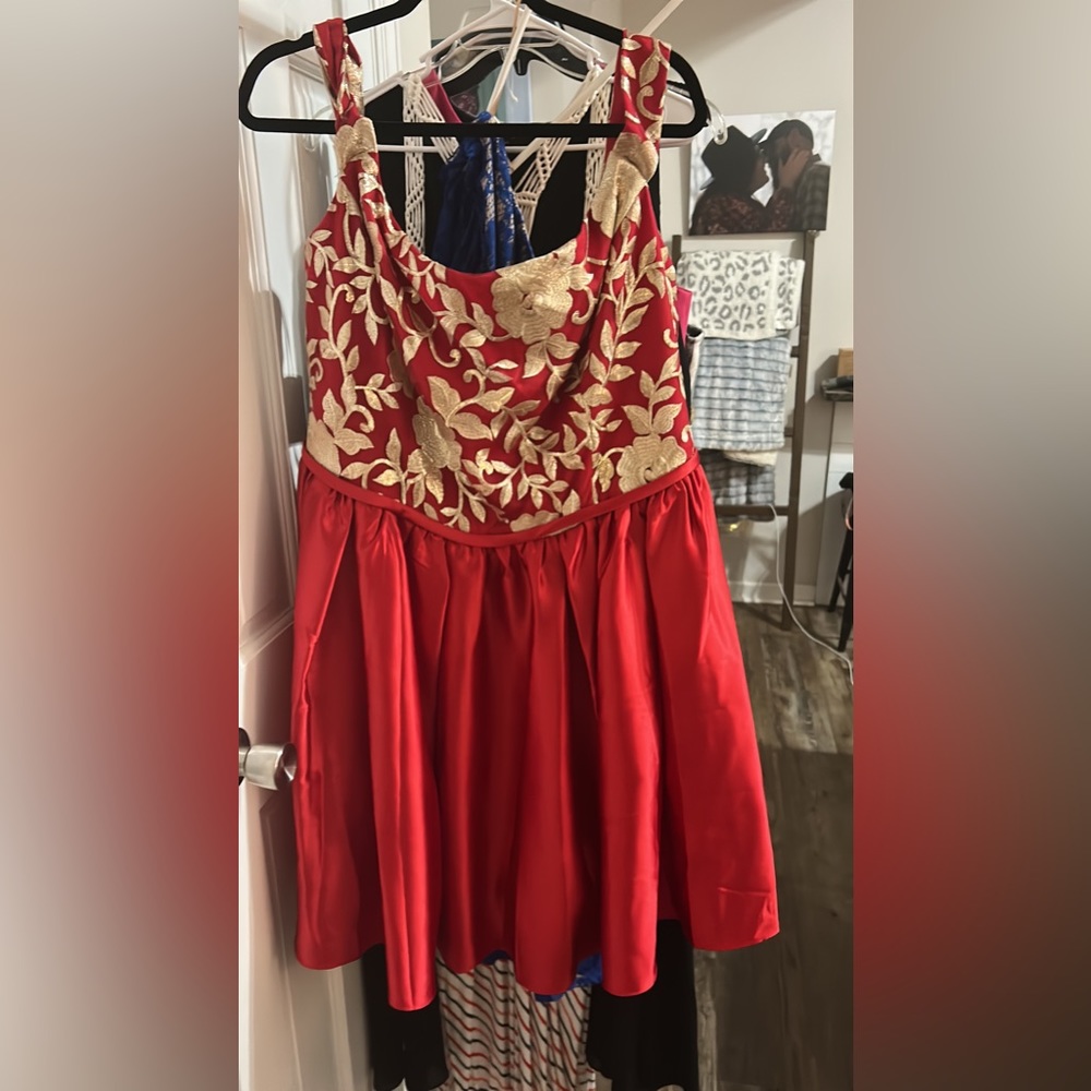 David’s Bridal size 22 formal dress